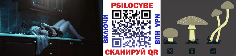 Галлюциногенные грибы Psilocybe  Избербаш 